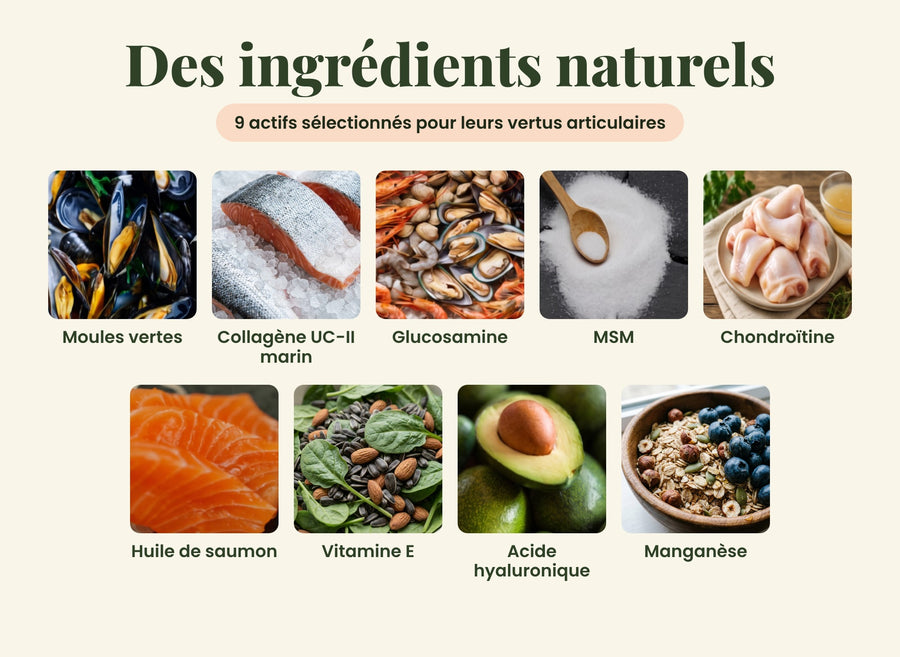 Compléments Naturels Articulations & Mobilité