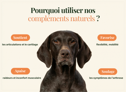 Compléments Naturels Articulations et Mobilité