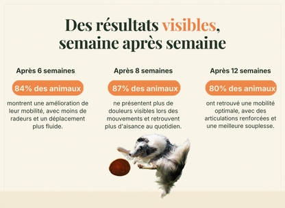 Compléments Naturels Articulations et Mobilité