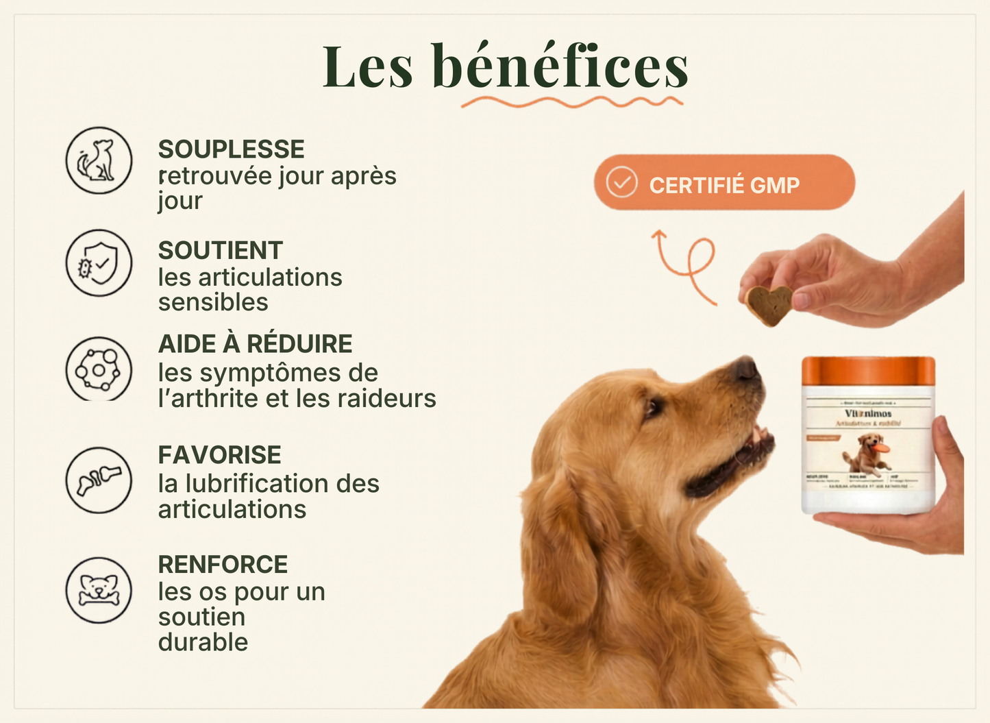 Compléments Naturels Articulations et Mobilité