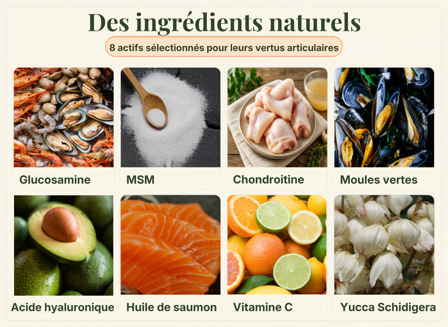 Compléments Naturels Articulations et Mobilité