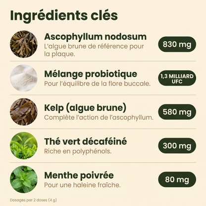 Poudre dentaire pour chien — Dents & Haleine