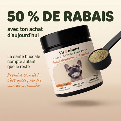 Poudre dentaire pour chien — Dents & Haleine