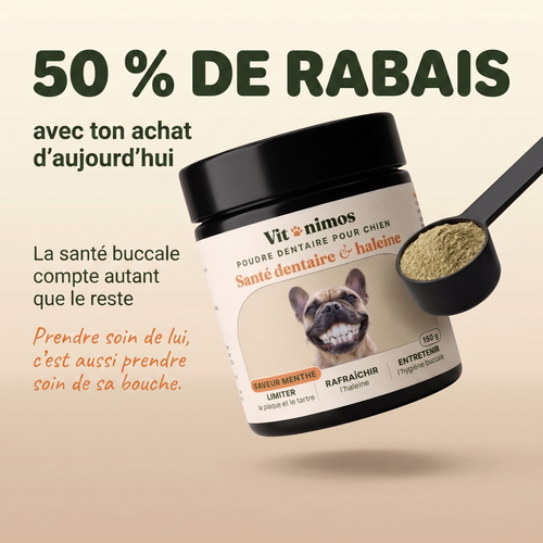 Poudre dentaire pour chien — Dents & Haleine