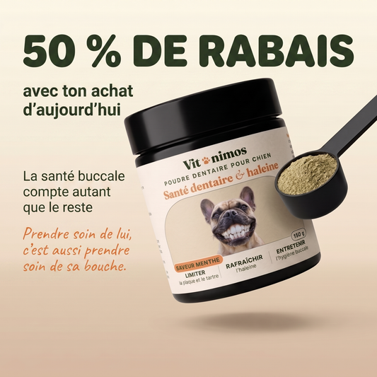 Poudre dentaire pour chien — Dents & Haleine