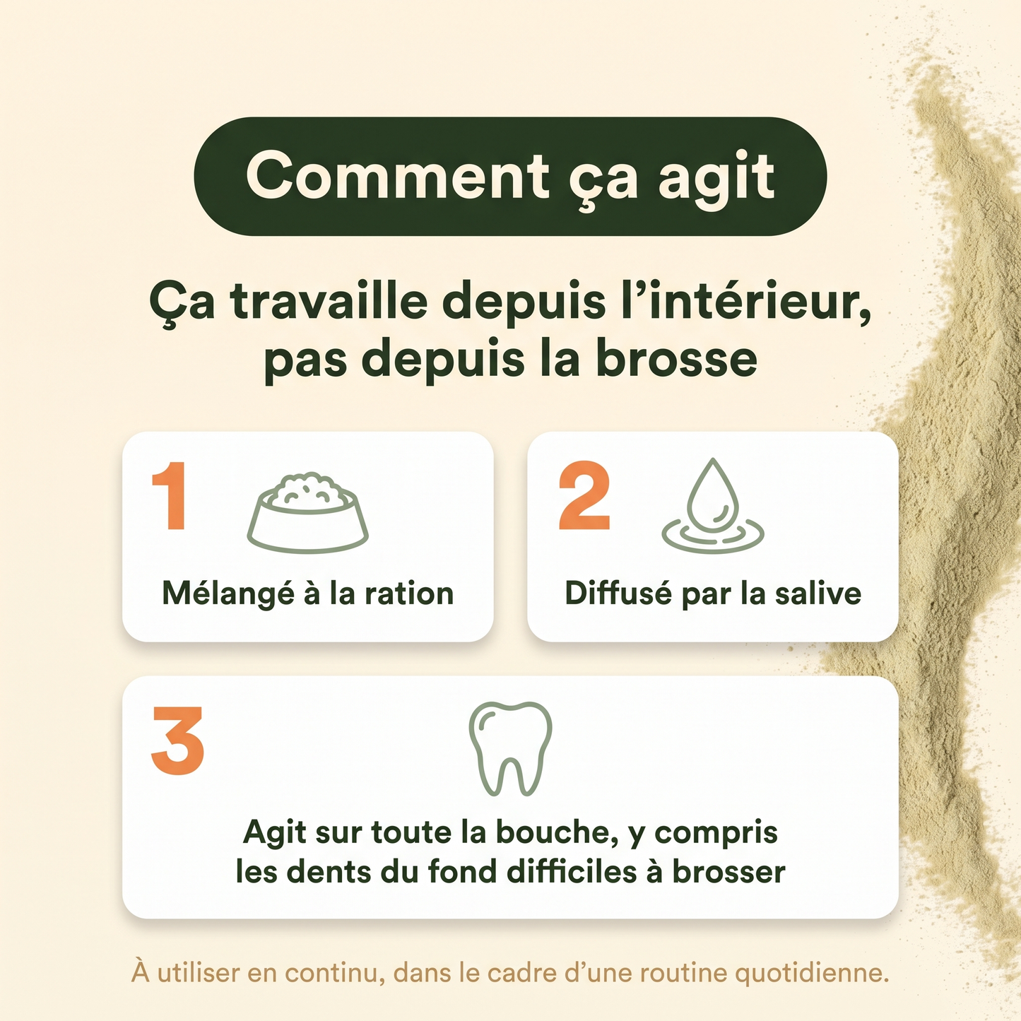 Poudre dentaire pour chien — Dents & Haleine