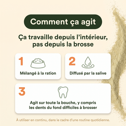 Poudre dentaire pour chien — Dents & Haleine