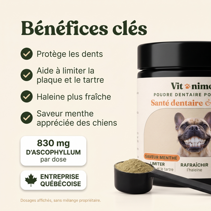 Poudre dentaire pour chien — Dents & Haleine