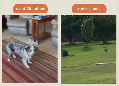 Compléments Naturels Articulations et Mobilité