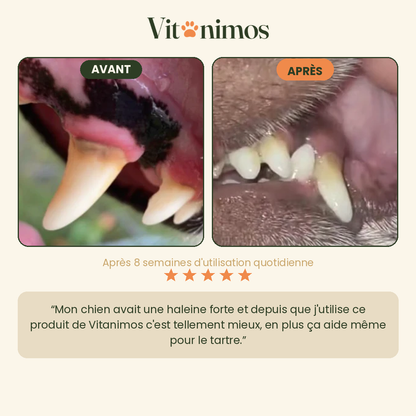 Poudre dentaire pour chien — Dents & Haleine